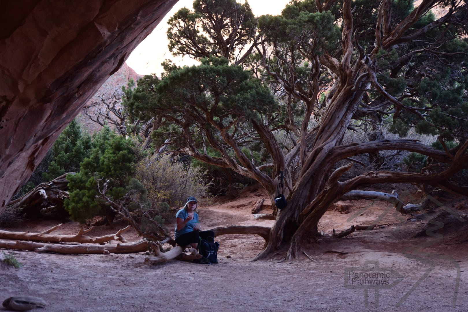 Navajo Arch