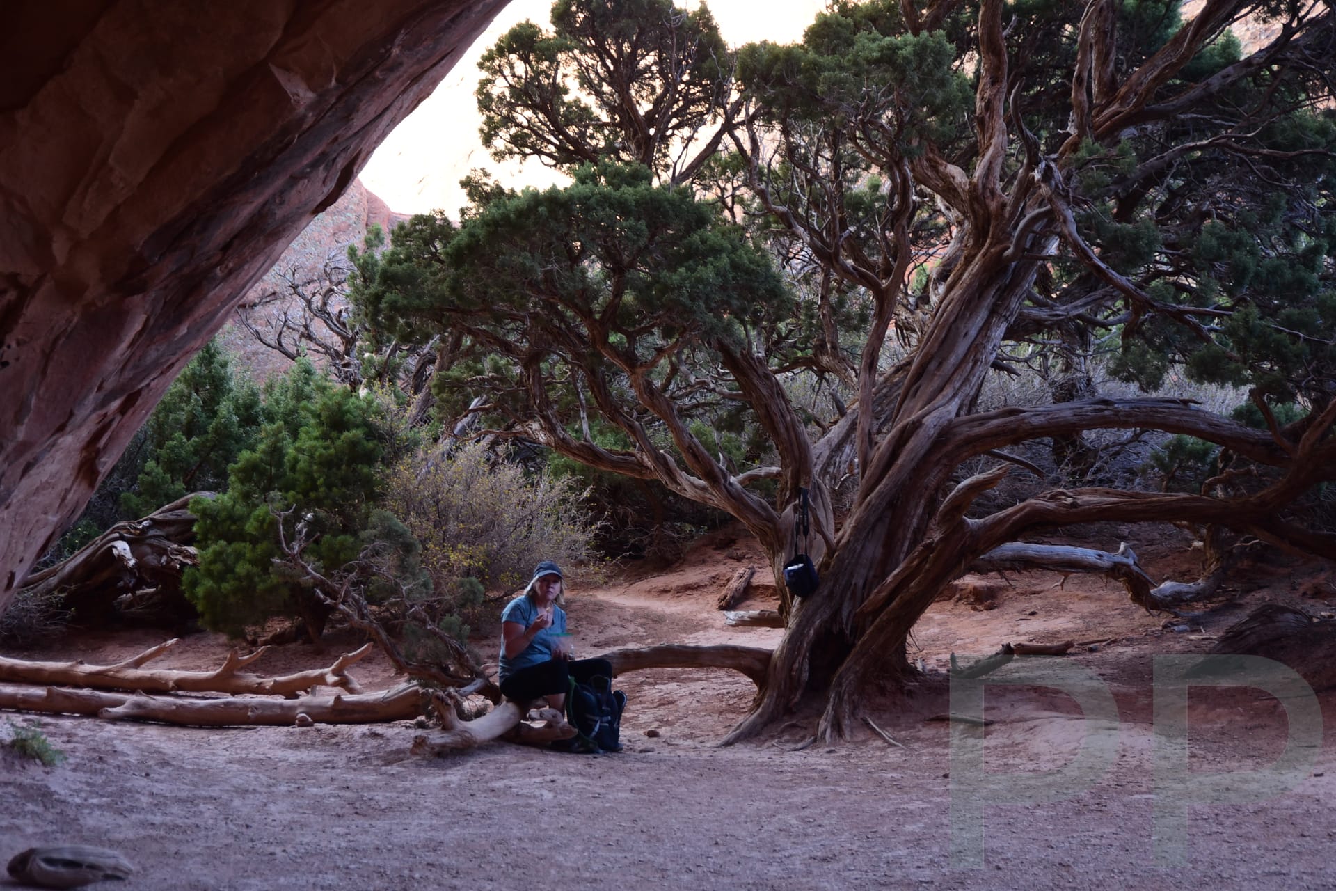 Navajo Arch tunnel-like opening with shade in Devils Garden Arches National Park