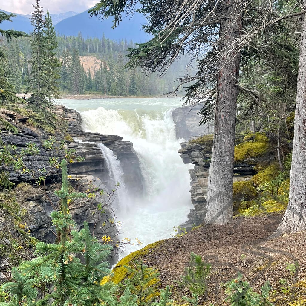 Beautiful, majestic Athabasca Falls, Icefields Parkway, Jasper National Park