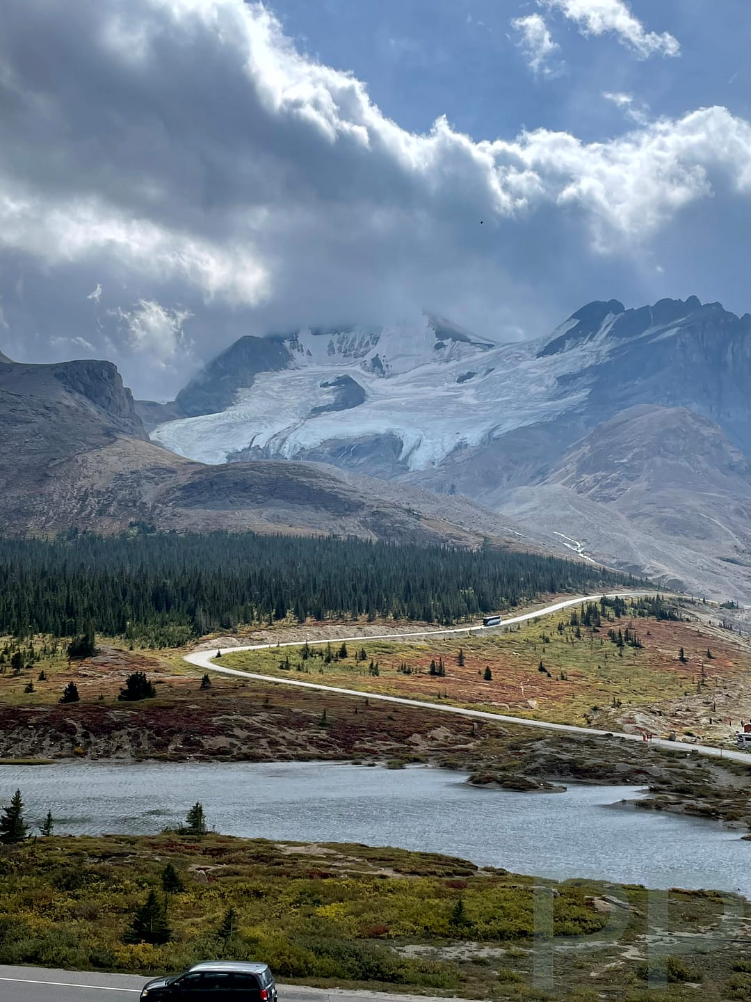 View of Stutfield Glacier descending between mountain ridges above pine forest along the Icefields Parkway, Alberta.