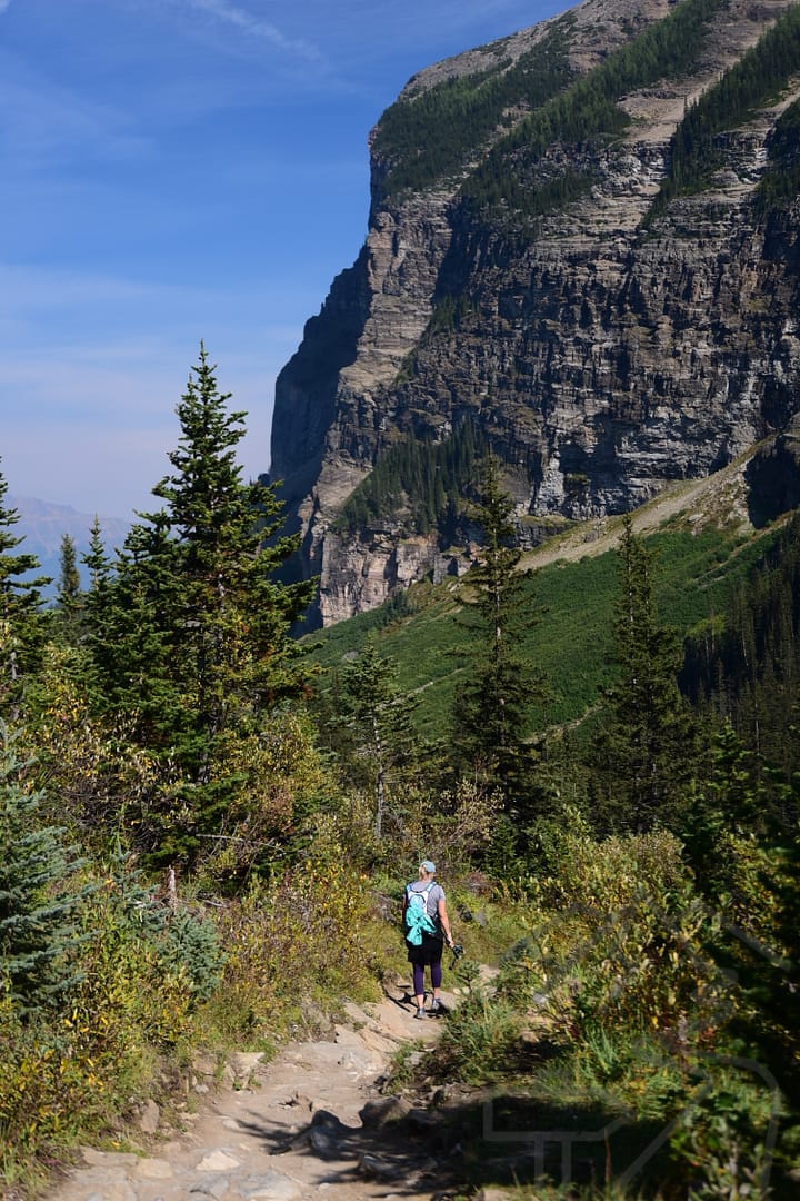 Hiking Plain of Six Glaciers to Lake Louise shoreline mountain view trees