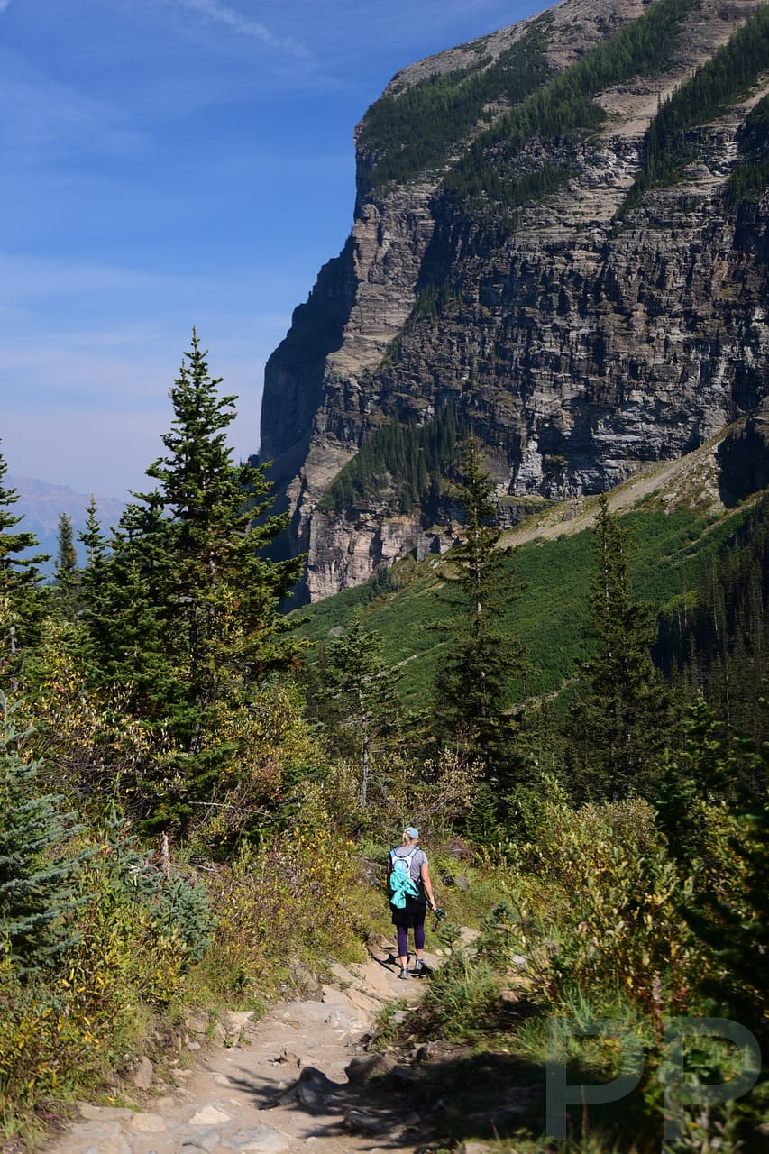 Hiking Plain of Six Glaciers to Lake Louise shoreline mountain view trees