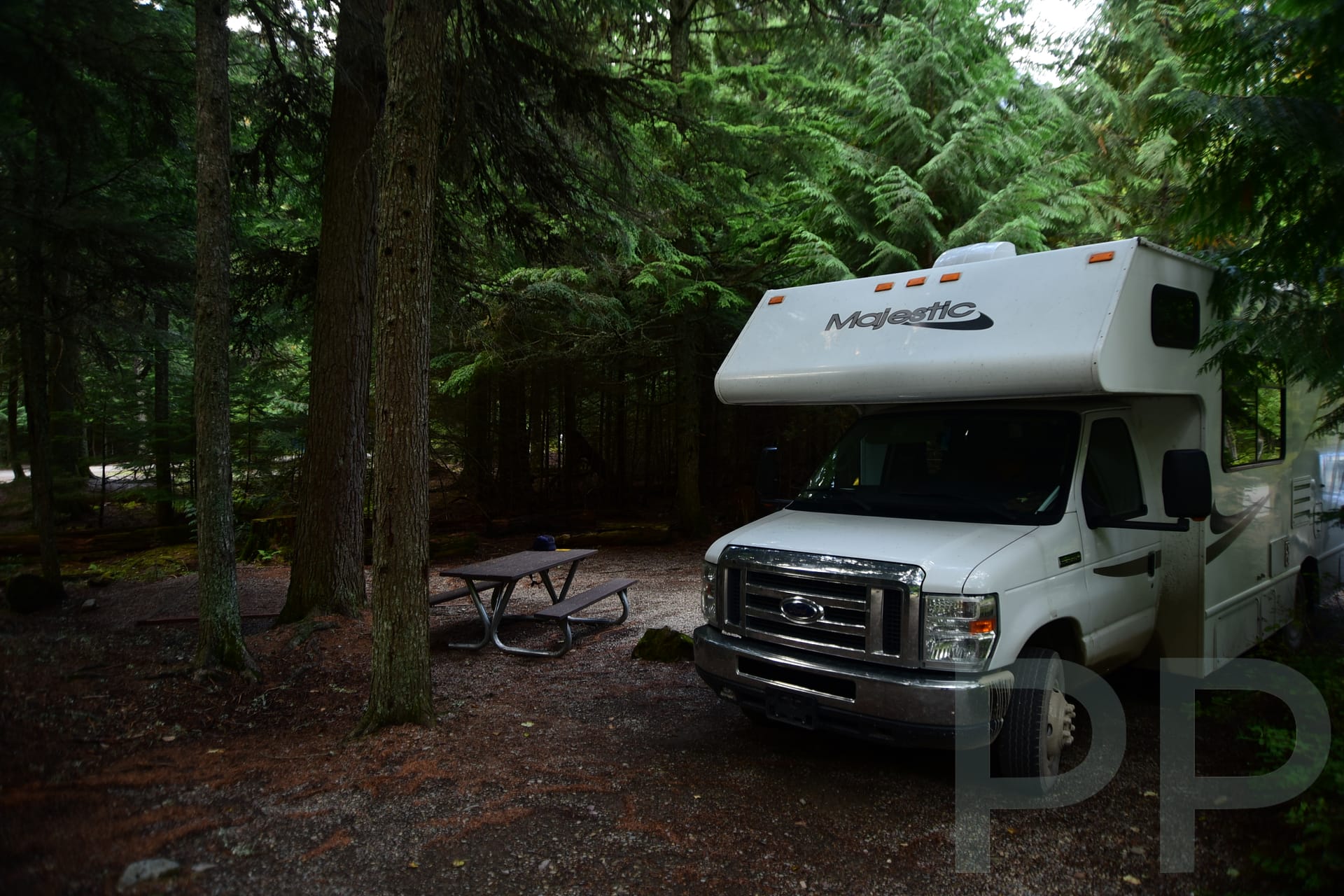 Shaded campsite at Avalanche Campground along Going-to-the-Sun Road in Glacier National Park