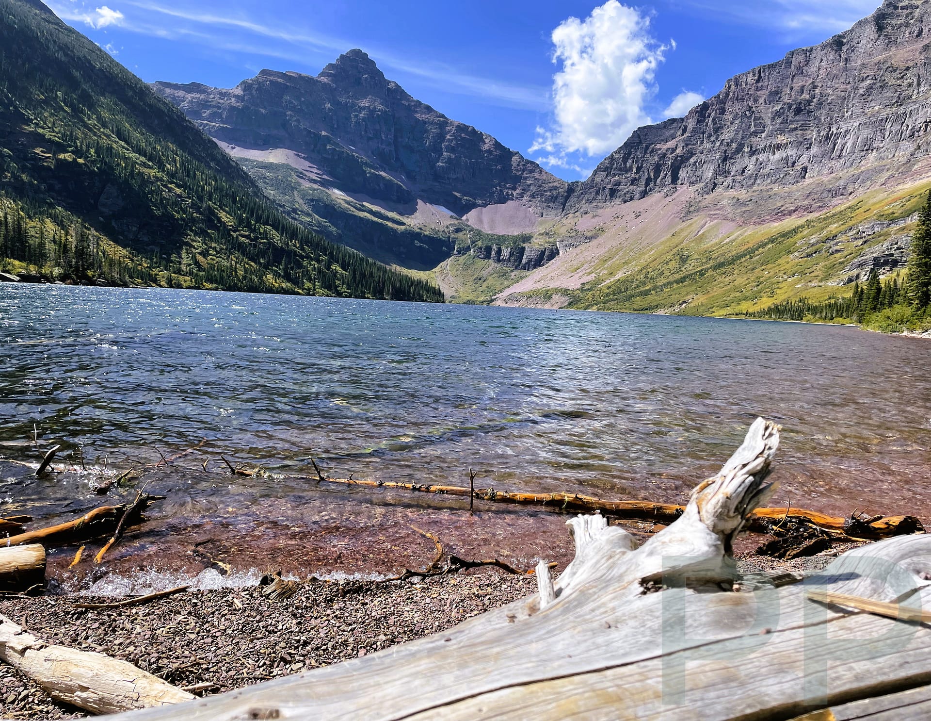 Sun-bleached logs along the shore of Upper Two Medicine Lake in Glacier National Park