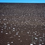 Salt Deposits, Craters of the Moon, Idaho