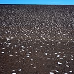 Salt Deposits, Craters of the Moon, Idaho