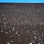 Salt Deposits, Craters of the Moon, Idaho