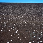 Salt Deposits, Craters of the Moon, Idaho