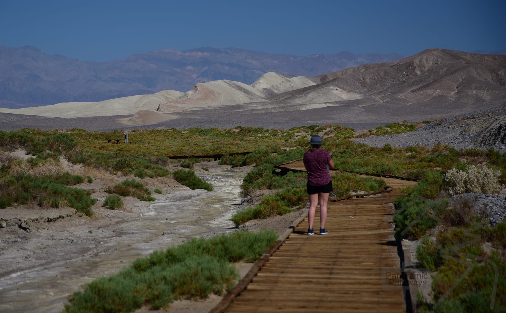 Salt Creek Interpretive Trail, Death Valley NP