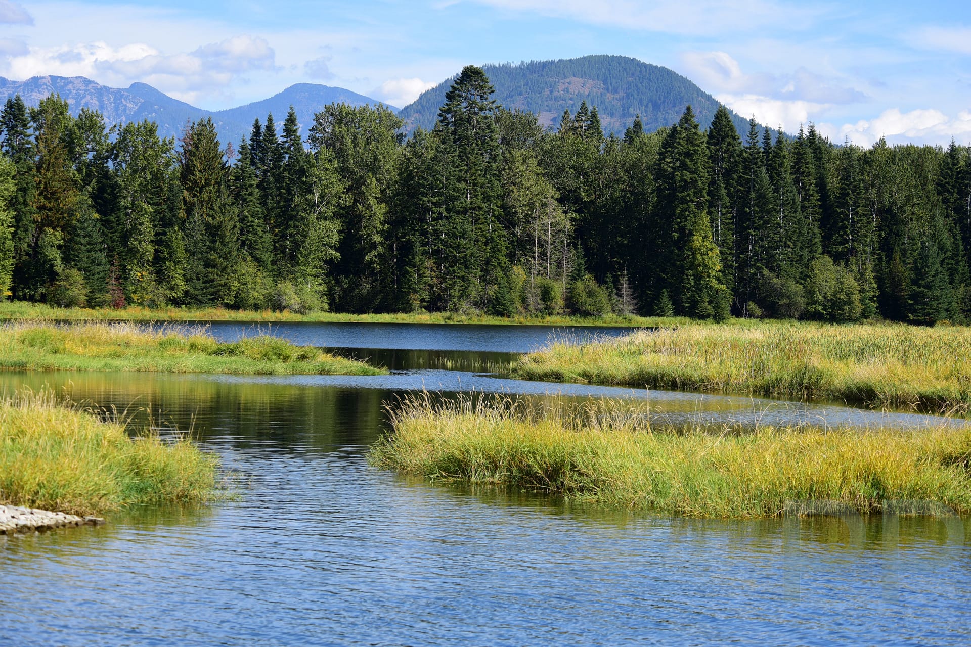 Clark Fork Delta, Lake Pend Oreille Cruises, East Hope, Idaho