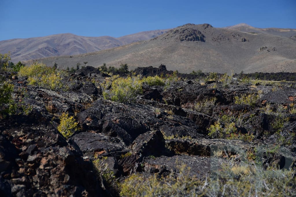 Hardened lava flows dotted with low vegetation, with mountains rising in the distance