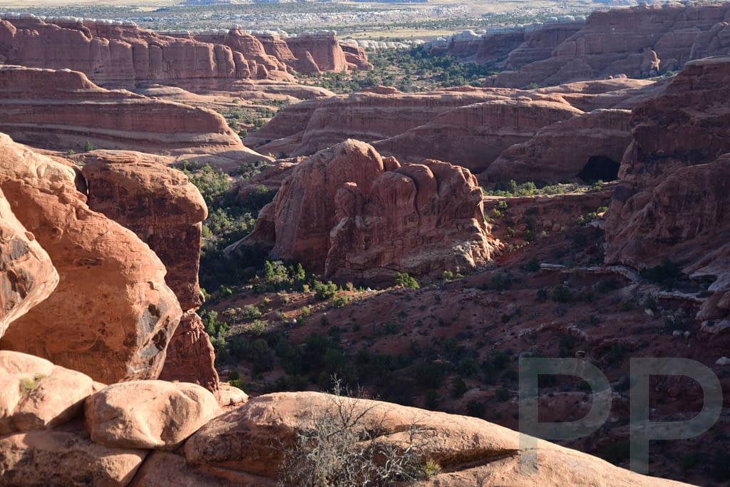 Devils Garden landscape at Arches National Park with sandstone fins and desert views
