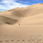 Complete Guide to Great Sand Dunes National Park, Colorado