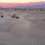 Sunrise at Mesquite Flats
