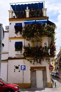 Flowers and colorful buildings in the Triana neighborhood of Seville