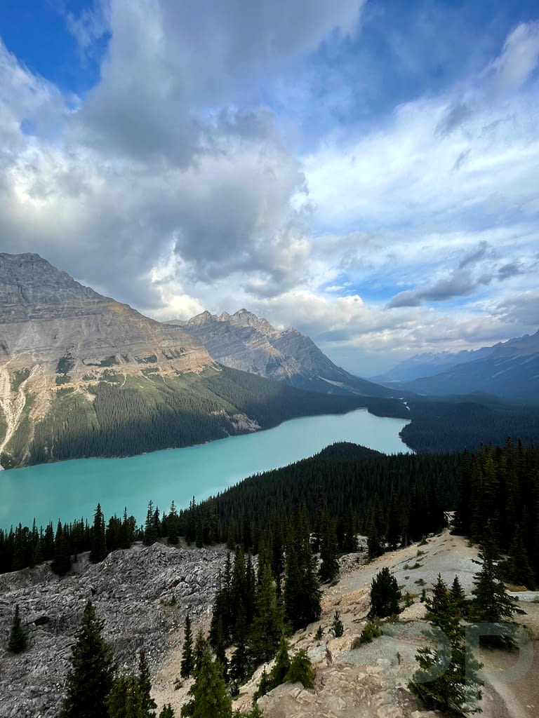 Aerial view of turquoise Peyto Lake surrounded by forest and rugged peaks along the Icefields