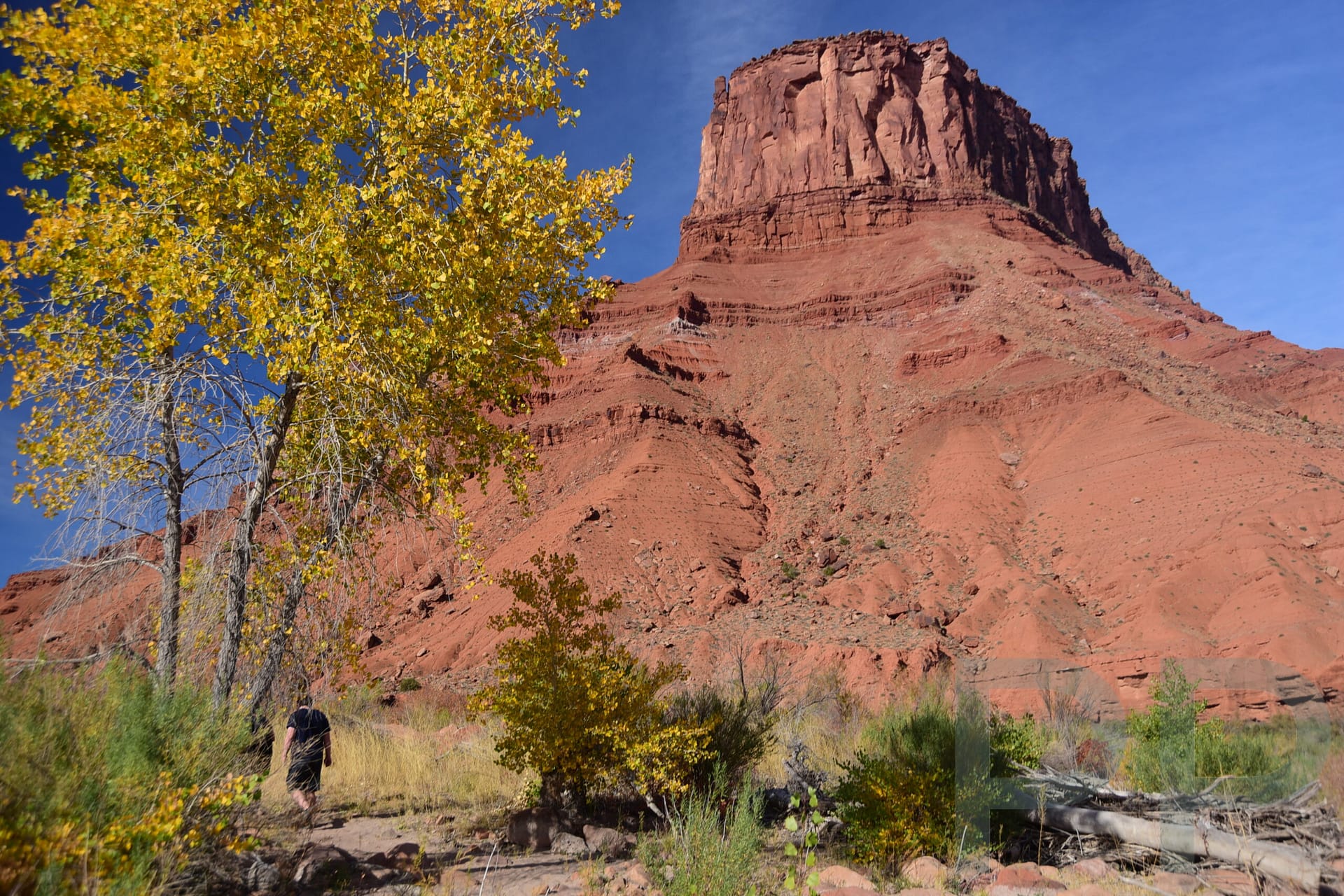 Mesa above the Colorado River along Utah State Route 128 in southeast Utah