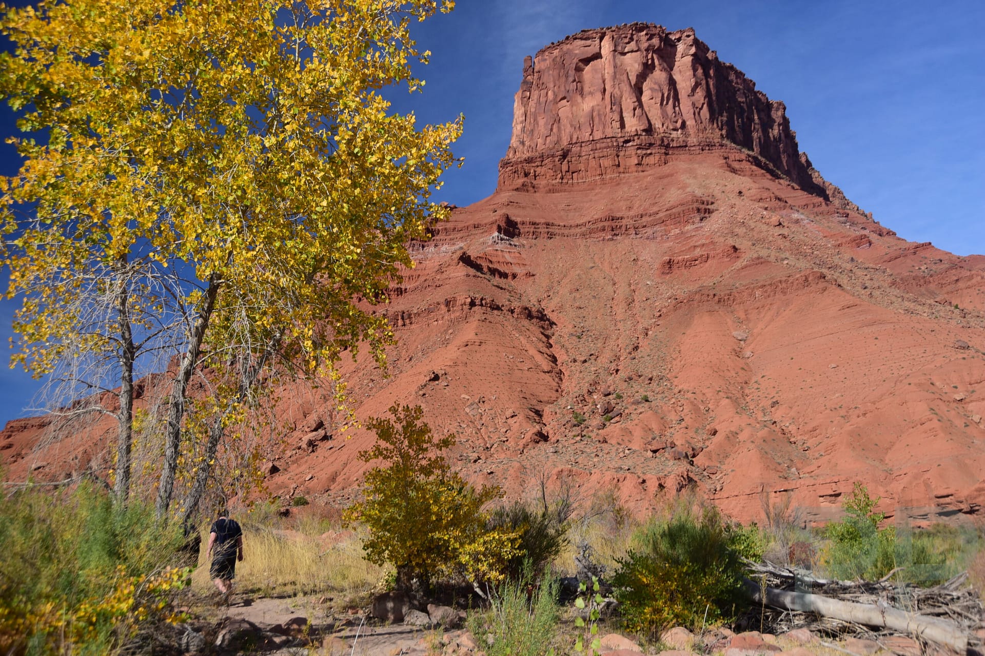 Mesa above the Colorado River along Utah State Route 128 in southeast Utah