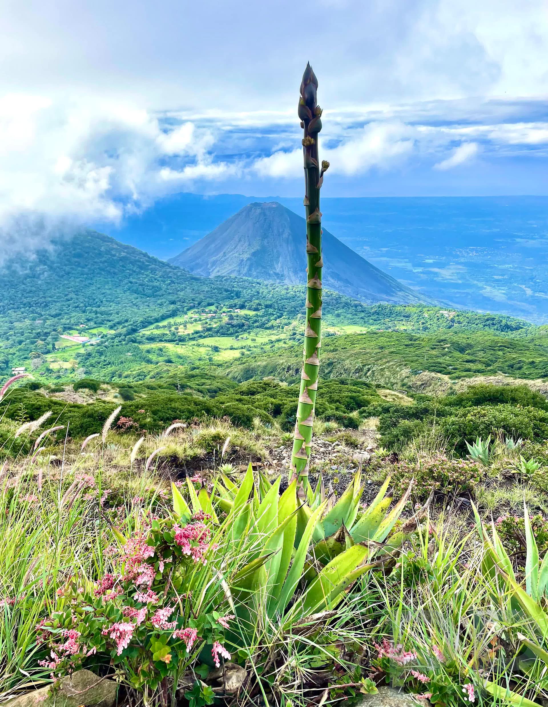 Gorgeous View from Hike to Santa Ana Volcano Crater