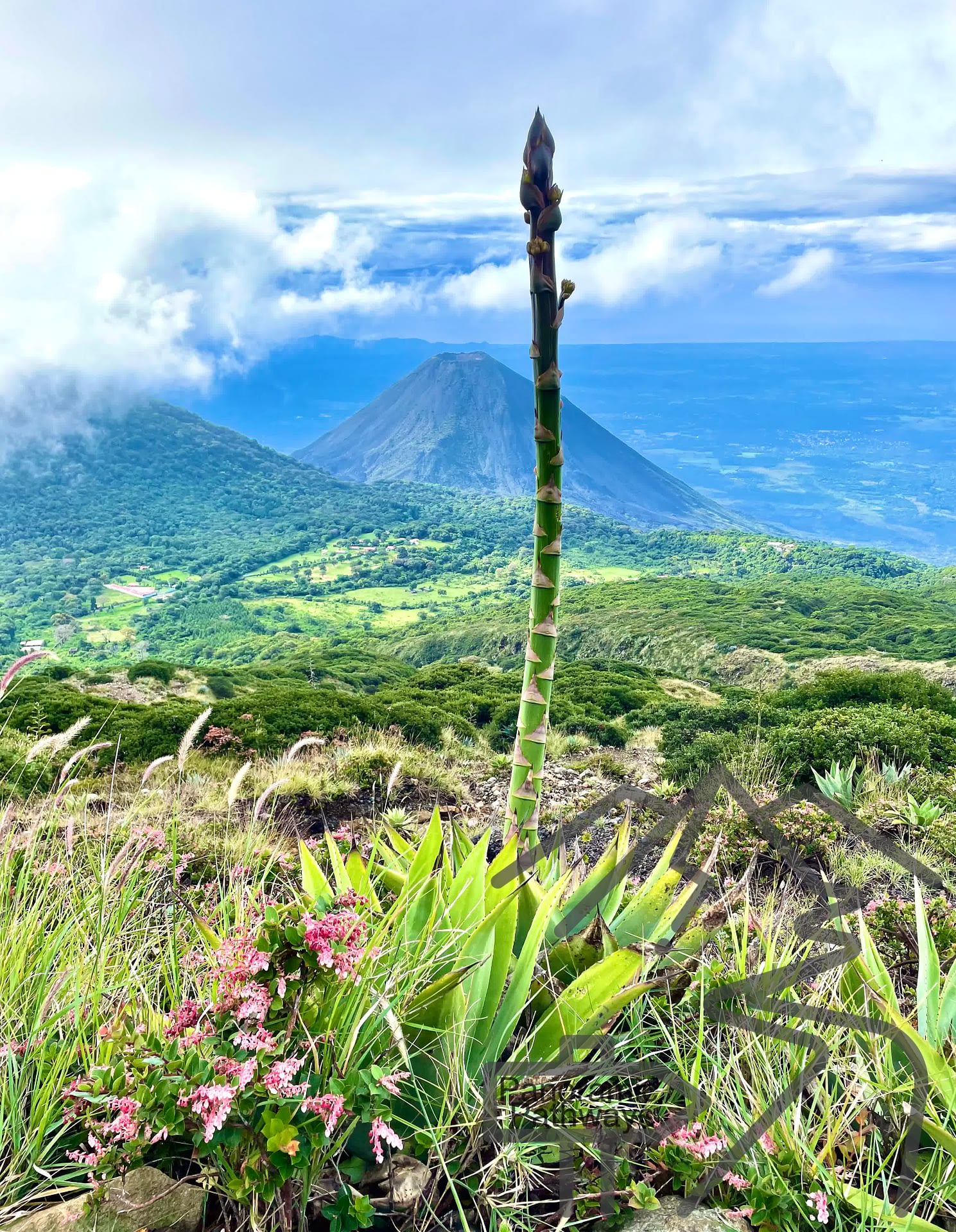 Gorgeous View from Hike to Santa Ana Volcano Crater