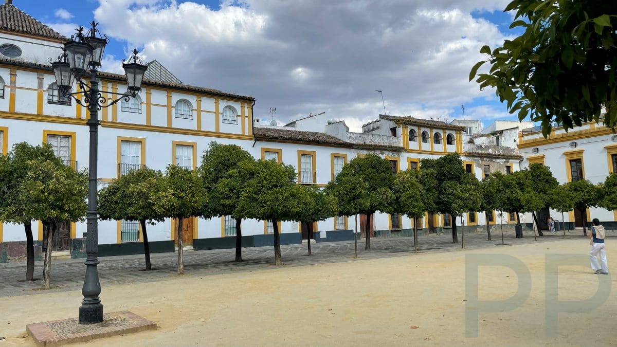 Courtyard of Patio de Banderas in Seville with orange trees and buildings