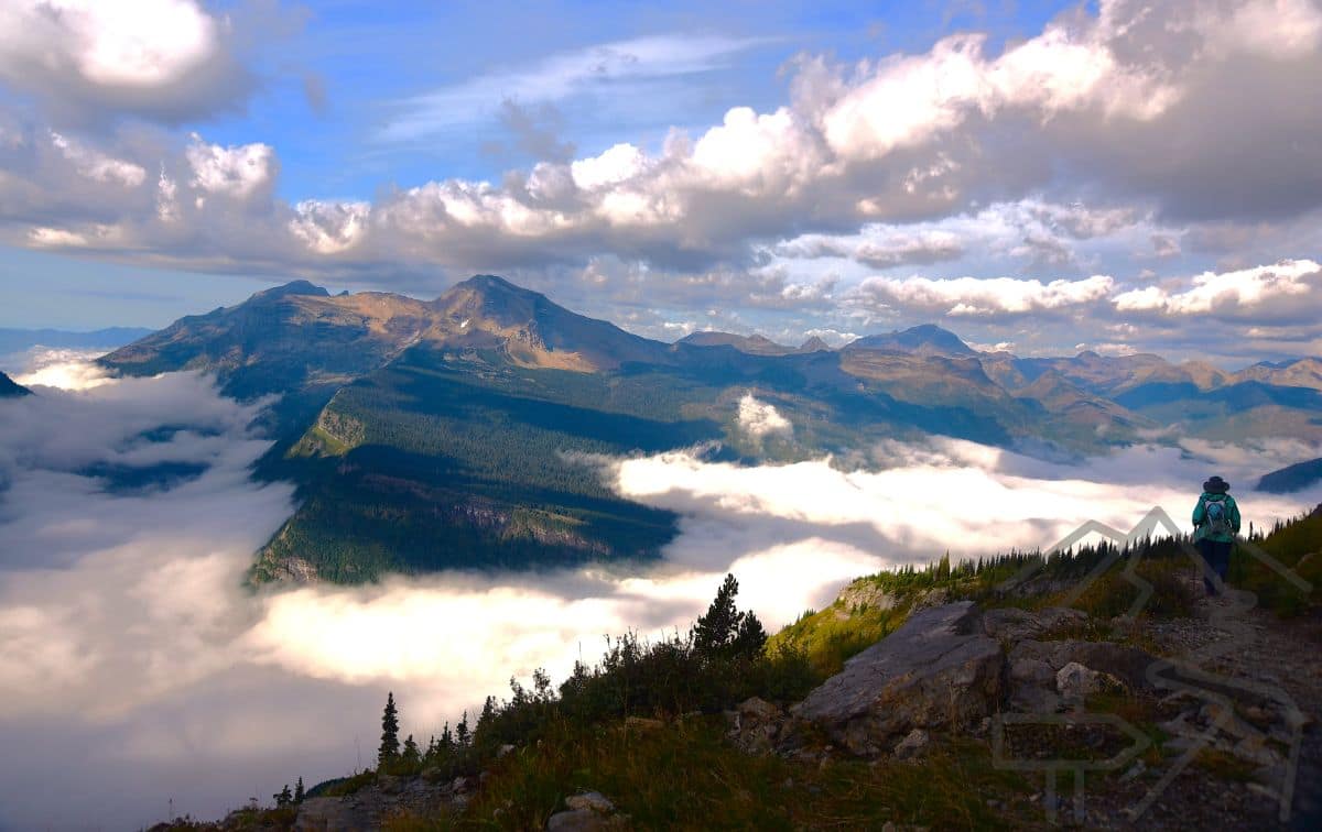 Hiking the Highline Trail: Logan Pass to The Loop