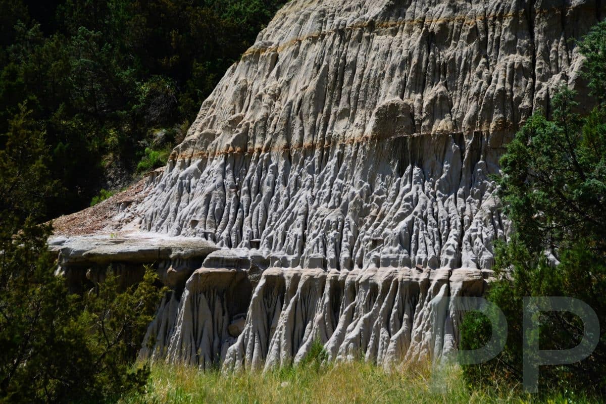 White fluted clay cliffs eroded into vertical ridges in Theodore Roosevelt National Park