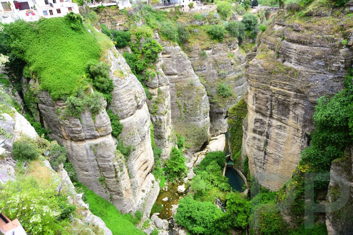 View from above of El Tajo Gorge in Ronda, Spain, showing vertical cliffs, green vegetation, and the Guadalevín River at the bottom.