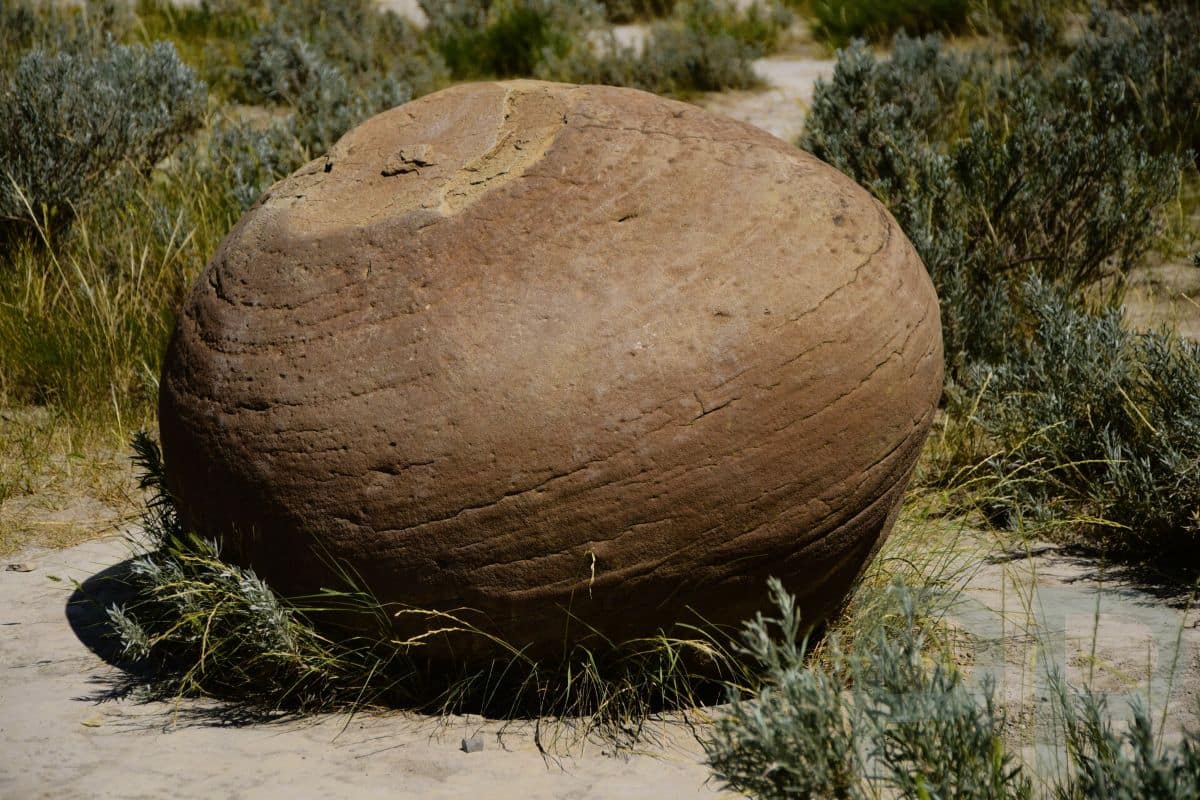 Rounded cannonball concretions embedded in badlands terrain in Theodore Roosevelt National Park