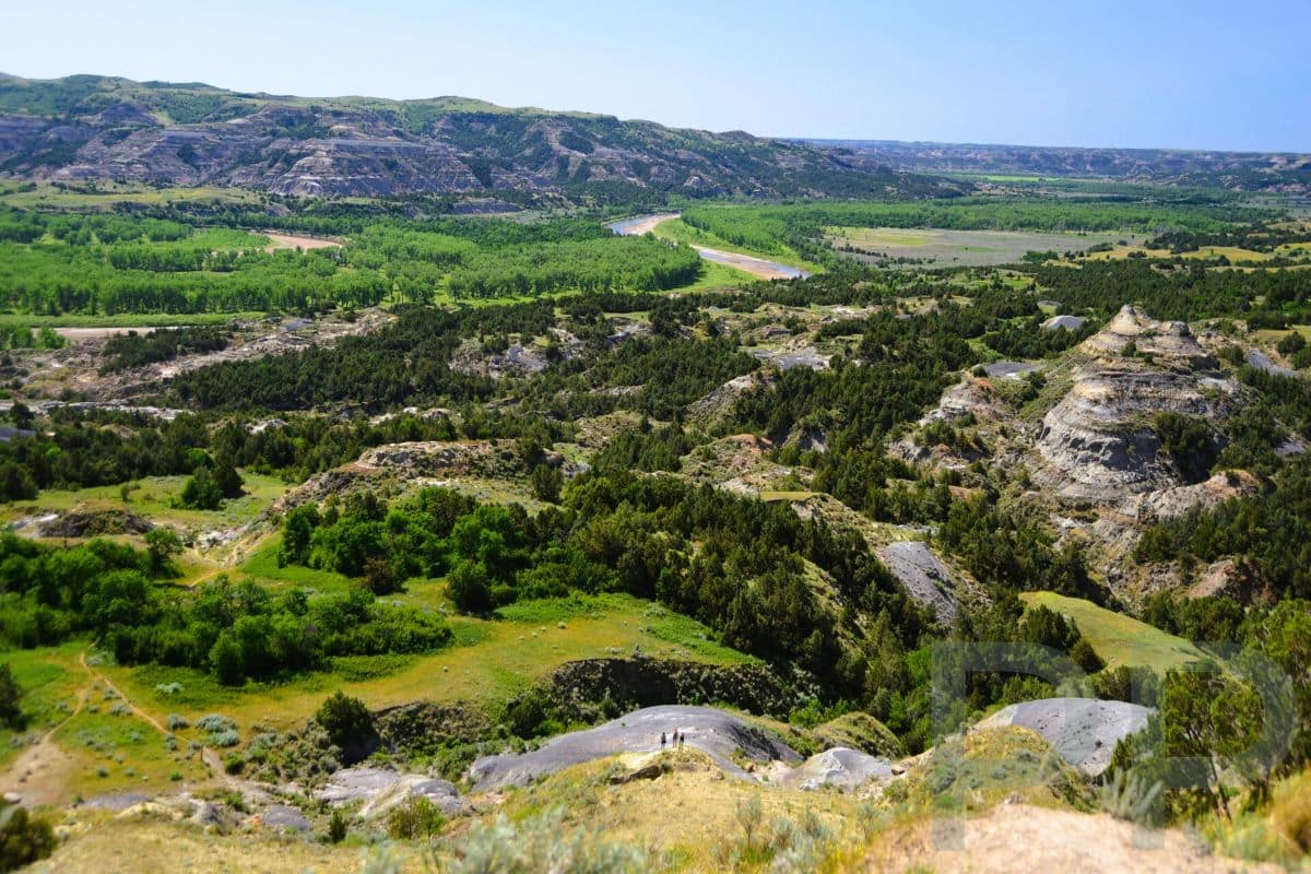Elevated view of the Little Missouri River winding through green valleys and layered badlands in Theodore Roosevelt National Park North Unit