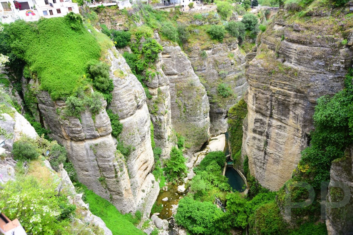 View from above of El Tajo Gorge in Ronda, Spain, showing vertical cliffs, green vegetation, and the Guadalev&iacute;n River at the bottom.