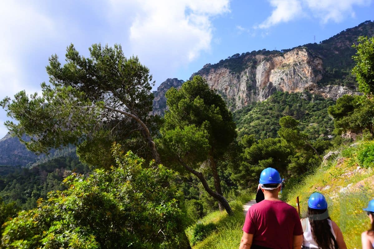 Hikers wearing helmets walk along a sunny path lined with pines, with dramatic cliffs rising ahead on the final stretch of the Caminito del Rey in Spain.