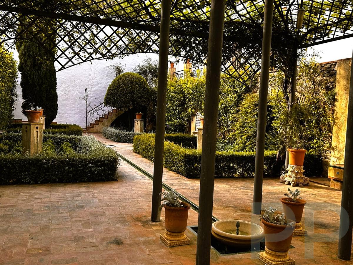 Secluded residential courtyard garden in Arcos de la Frontera.