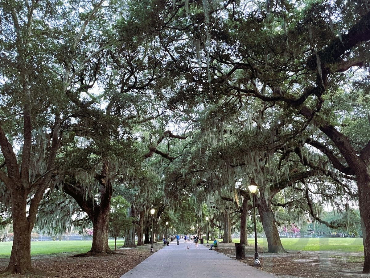 Savannah Walking Tour: Squares, Mansions & Historic Landmarks - Panoramic Pathways