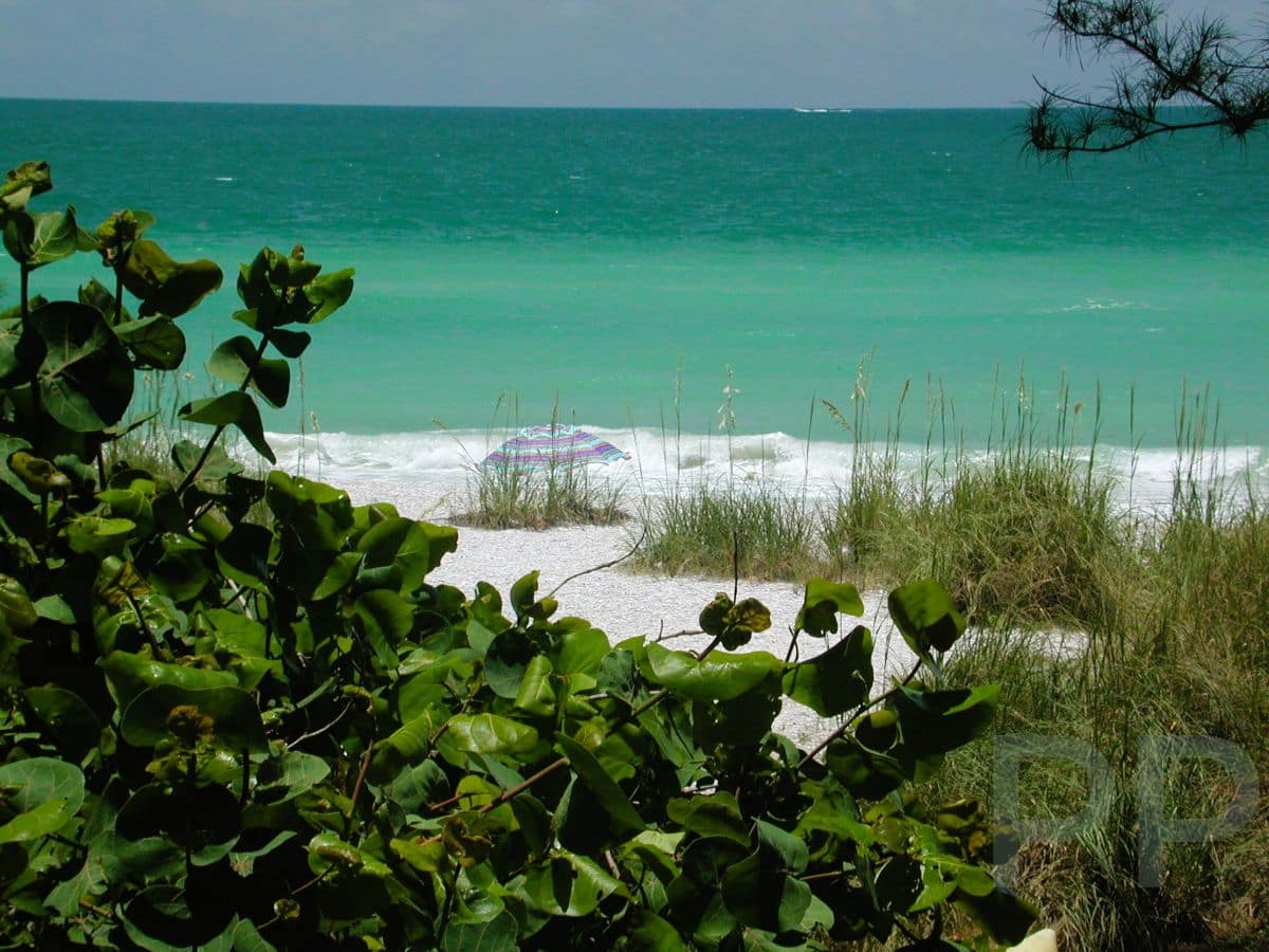 View of turquoise Gulf waters and white sand beach framed by sea grapes from a cottage on Anna Maria Island.