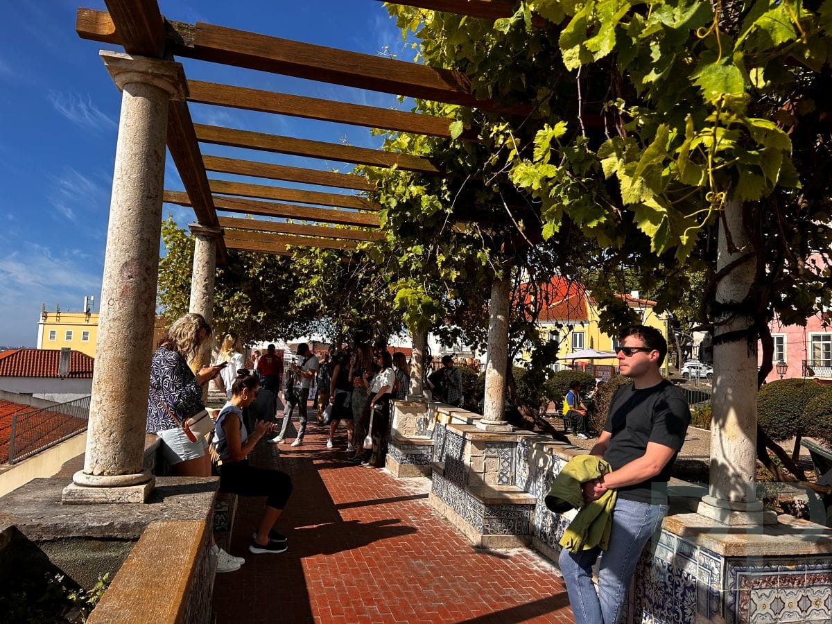 The vine-covered pergola at Miradouro de Santa Luzia&mdash;a quiet place to linger above Alfama.