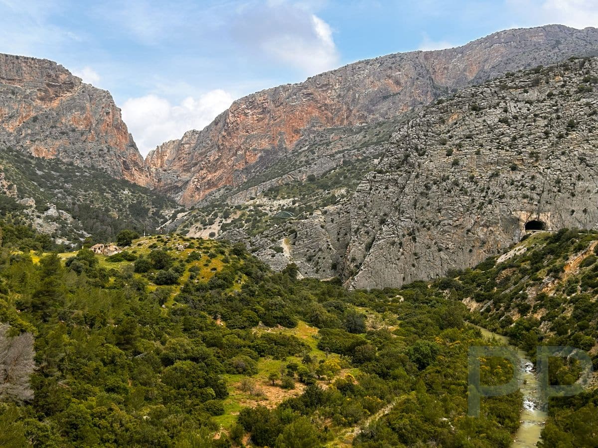 Expansive view of the Desfiladero de los Gaitanes Gorge along the Caminito del Rey in Spain, with cliffs, greenery, river, and a train tunnel visible.