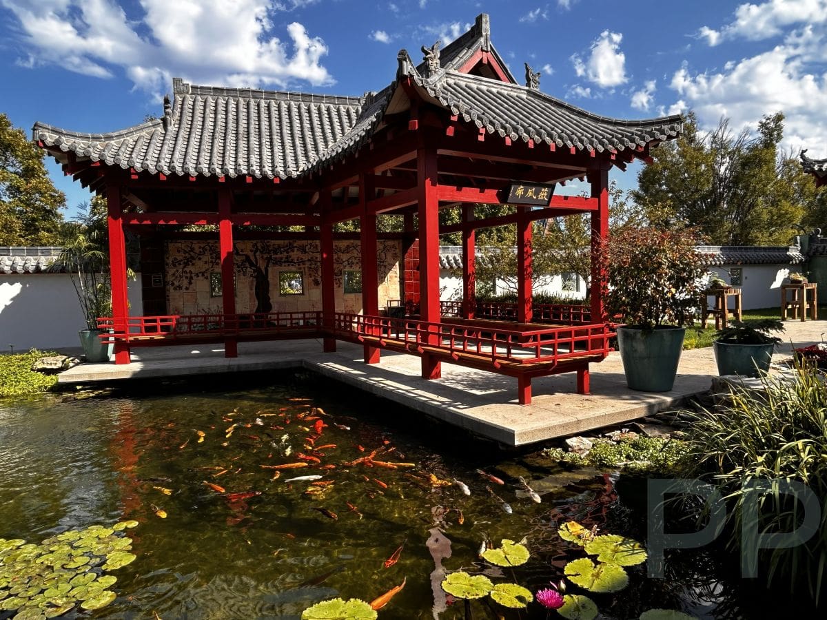 A traditional red Chinese-style pavilion at Botanica Wichita, surrounded by a koi pond with lily pads and colorful koi swimming beneath it.