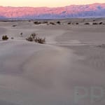 Sunrise at Mesquite Flats