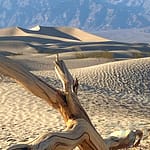 Great photo ops at Mesquite Flats