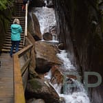 Flume Gorge trail with boardwalk in Franconia Notch State Park, New Hampshire