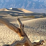 Great photo ops at Mesquite Flats
