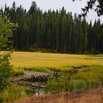 Marsh along trail in Ponderosa Pines State Park, Idaho