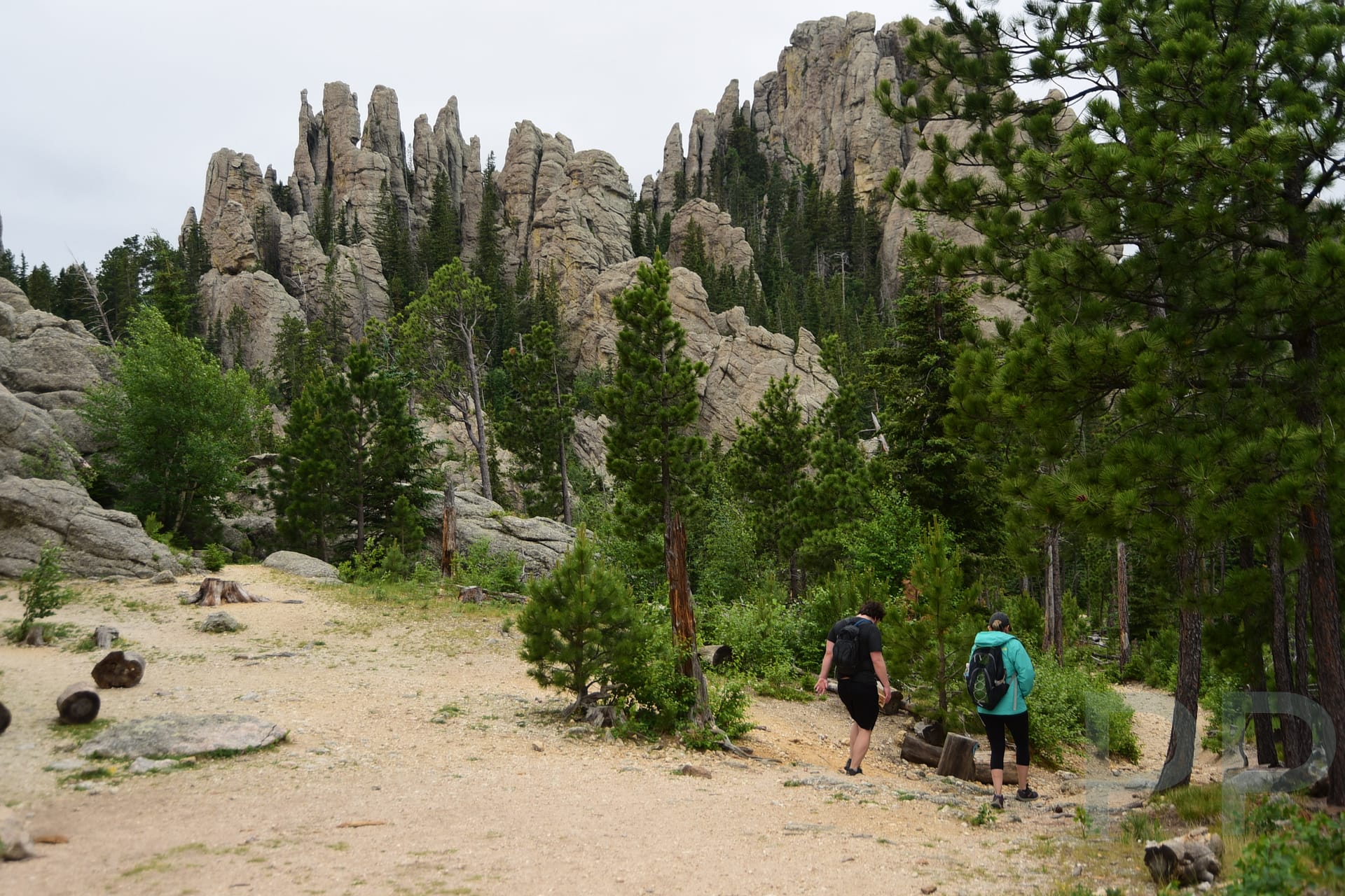 Hikers on the Black Elk Peak Loop Trail surrounded by dramatic granite spires in Custer State Park, South Dakota