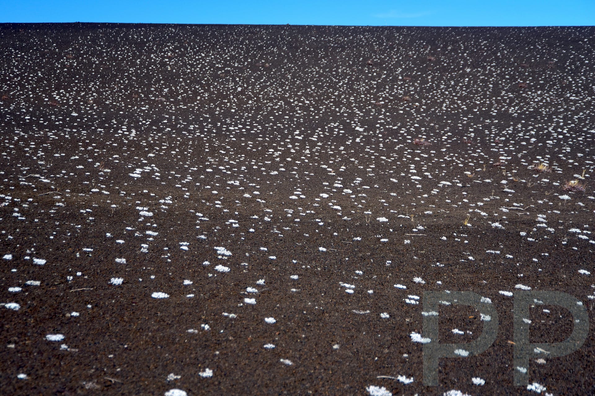 White salt deposits scattered across dark lava, creating a speckled pattern on a volcanic slope