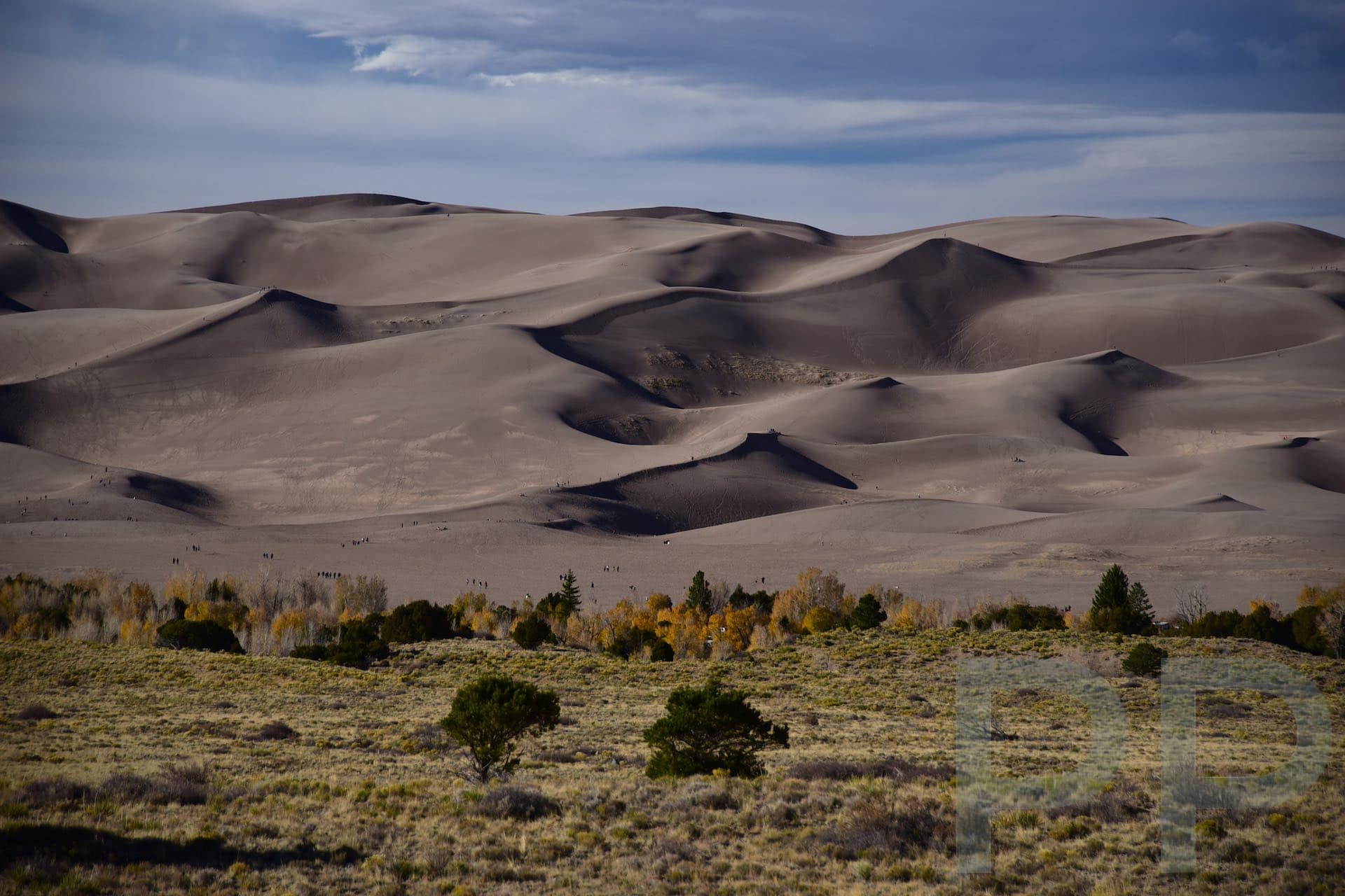 Dunes rising from the Valley Floor, Great Sand Dunes National Park