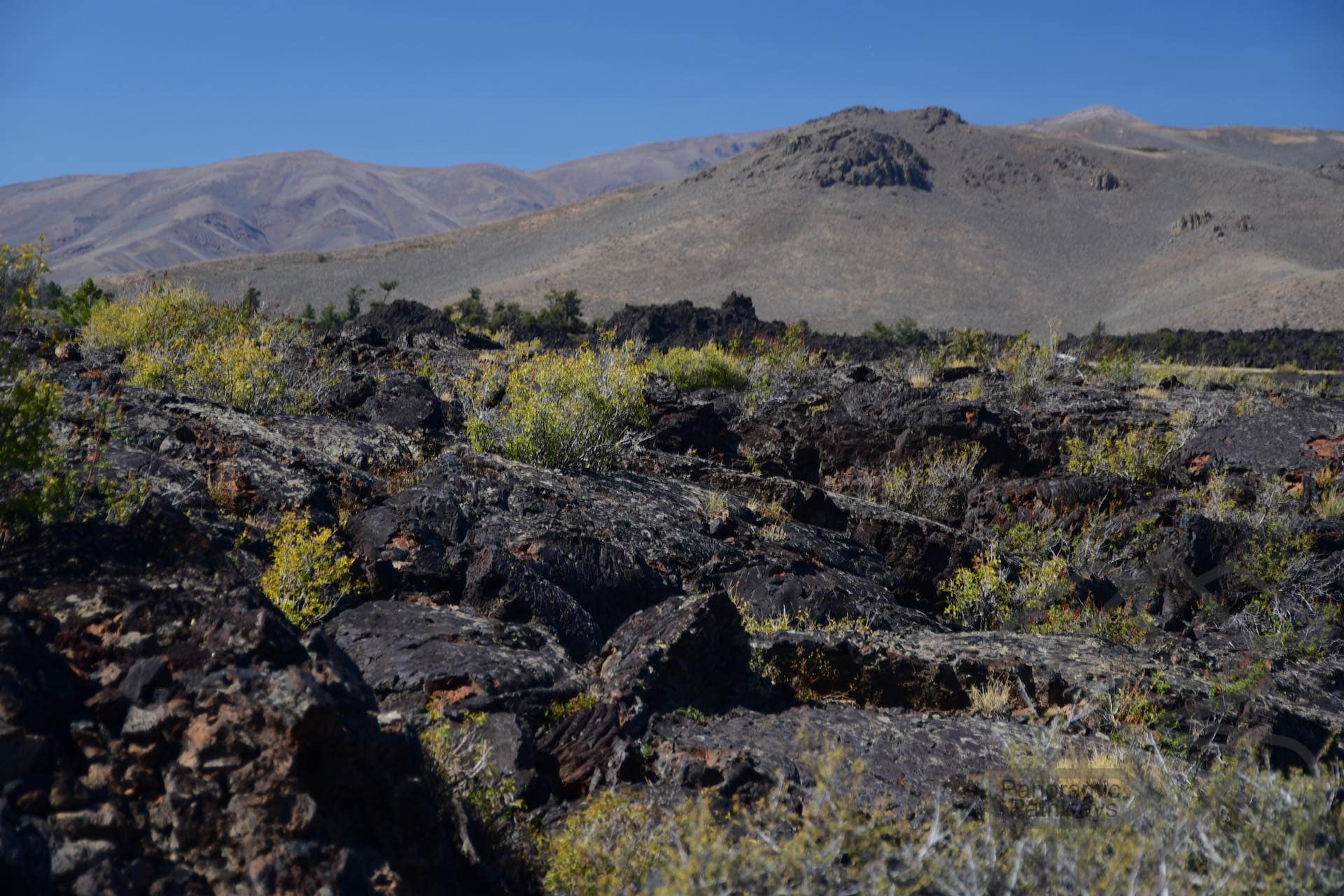 Hardened lava flows dotted with low vegetation, with mountains rising in the distance