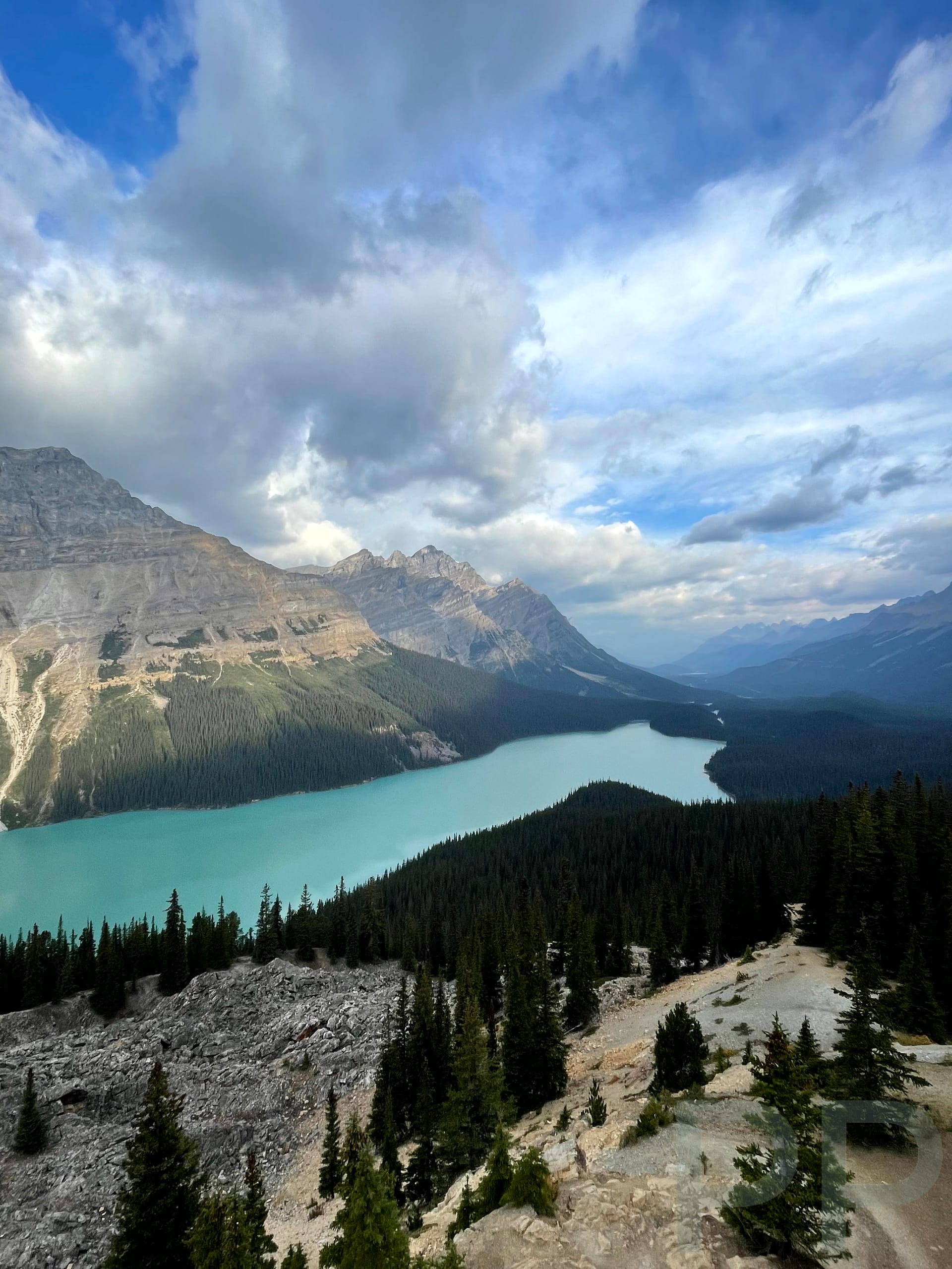 Aerial view of turquoise Peyto Lake surrounded by forest and rugged peaks along the Icefields