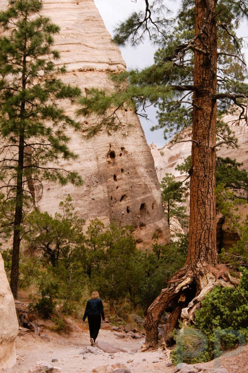 Close-up view of tent rock formations along an easy walking trail at Kasha-Katuwe Tent Rocks National Monument