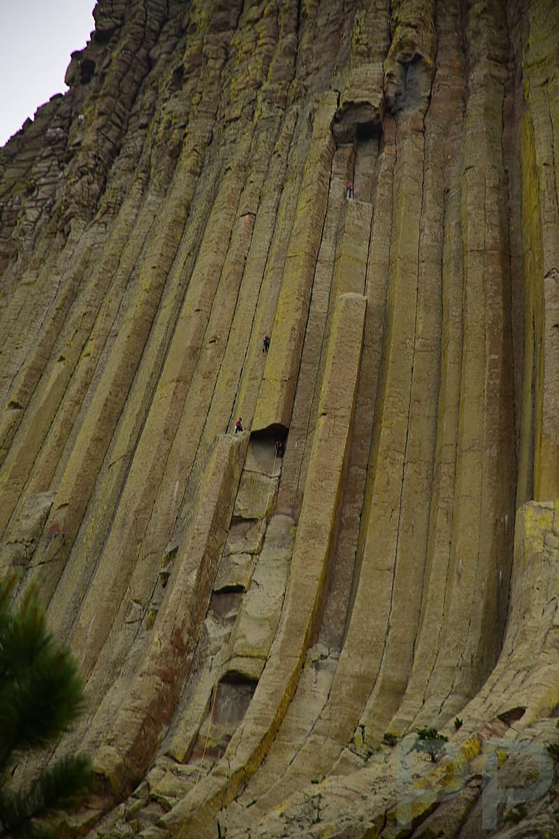 Rock climbers ascending the vertical columns of Devils Tower National Monument